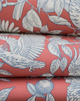 Wallpaper Talk about Cockatoos - Tomato
