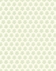 COMING SOON Wallpaper India - Sage Green 49-55