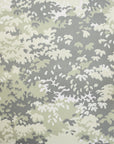 Wallpaper Into the Woods - Spring Green