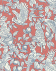 Wallpaper Talk about Cockatoos - Tomato