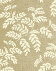 COMING SOON Wallpaper Acacia - Chino Beige 53-58