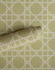 COMING SOON Wallpaper Trellis - Dusty Lemon 52-67