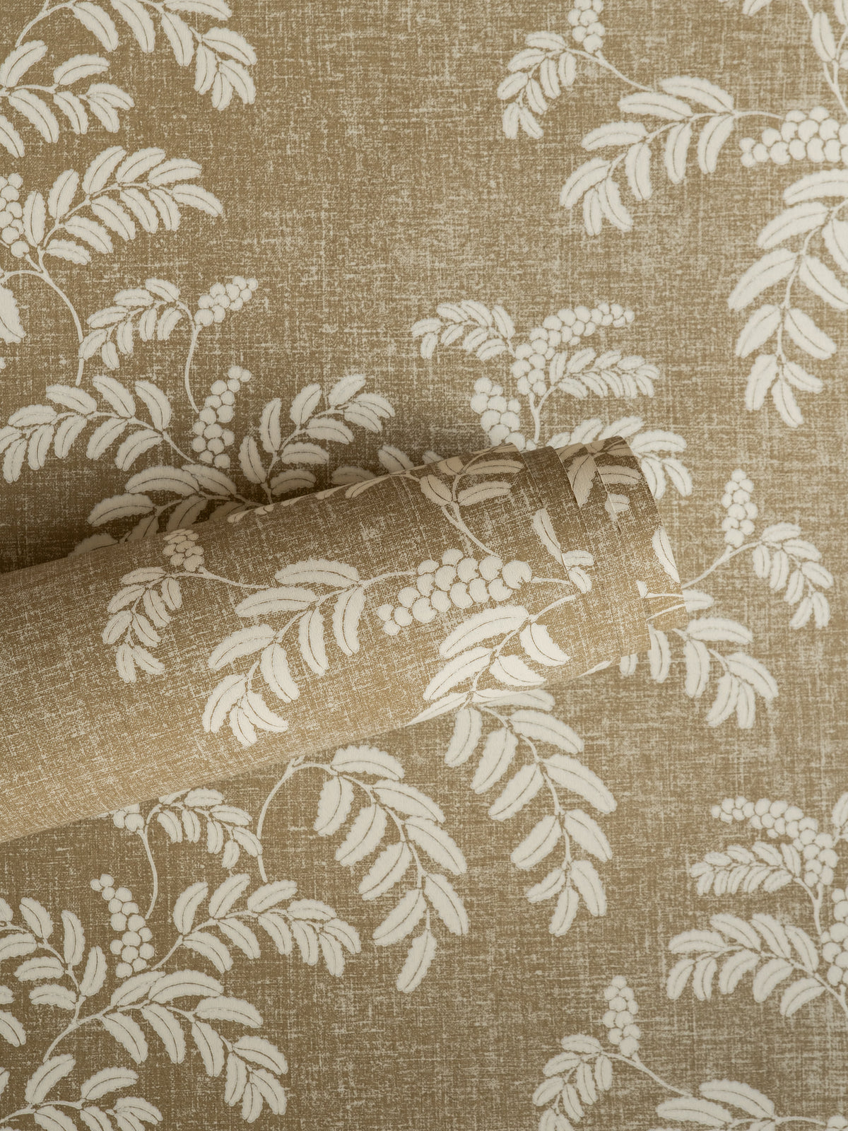COMING SOON Wallpaper Acacia - Chino Beige 53-58