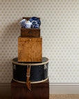 COMING SOON Wallpaper India - Golden Yellow 49-47