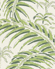 Wallpaper Palm house - Morning green