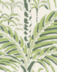 Wallpaper Palm house - Morning green