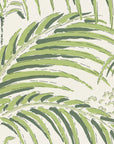 Wallpaper Palm house - Morning green