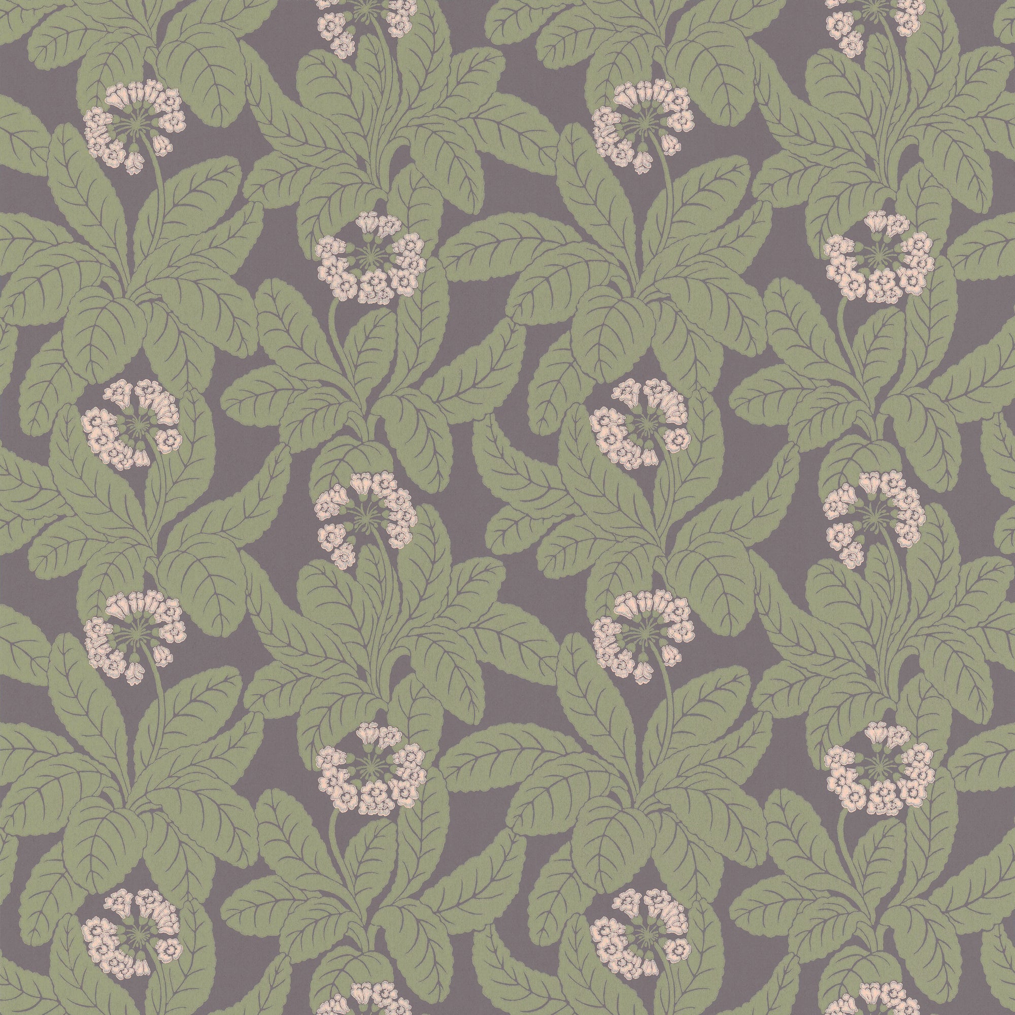 Wallpaper Primula - Aubergine