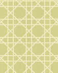 COMING SOON Wallpaper Trellis - Dusty Lemon 52-67